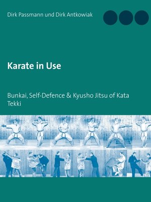 cover image of Karate in Use